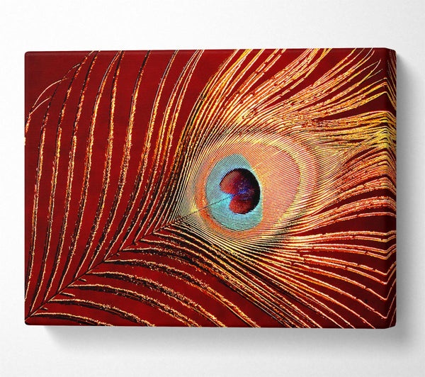  A Canvas Print of Peacock Feather 06 Canvas Wall Art