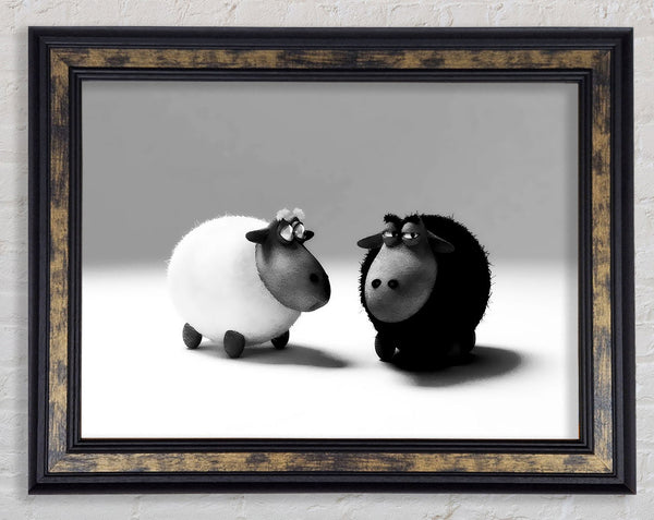 The Black Sheep Of The Family Framed Print