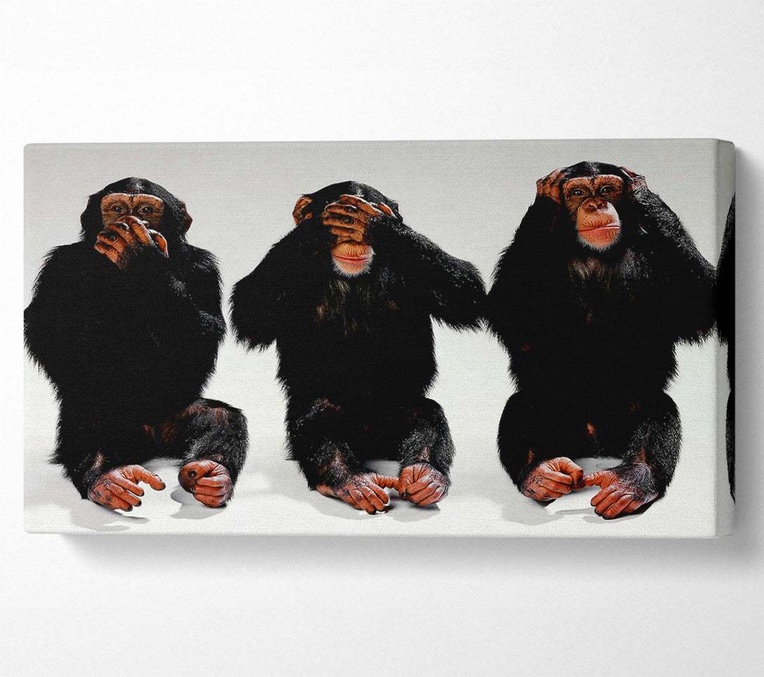  A Canvas Print of Three Wise Monkeys Canvas Wall Art