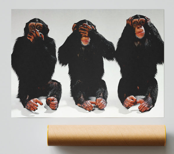 Three Wise Monkeys Giclee Print