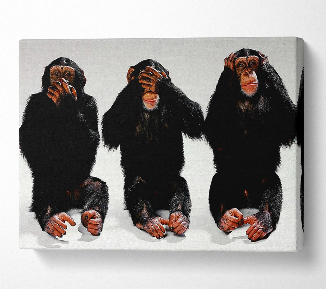  A Canvas Print of Three Wise Monkeys Canvas Wall Art