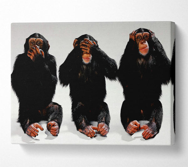  A Canvas Print of Three Wise Monkeys Canvas Wall Art