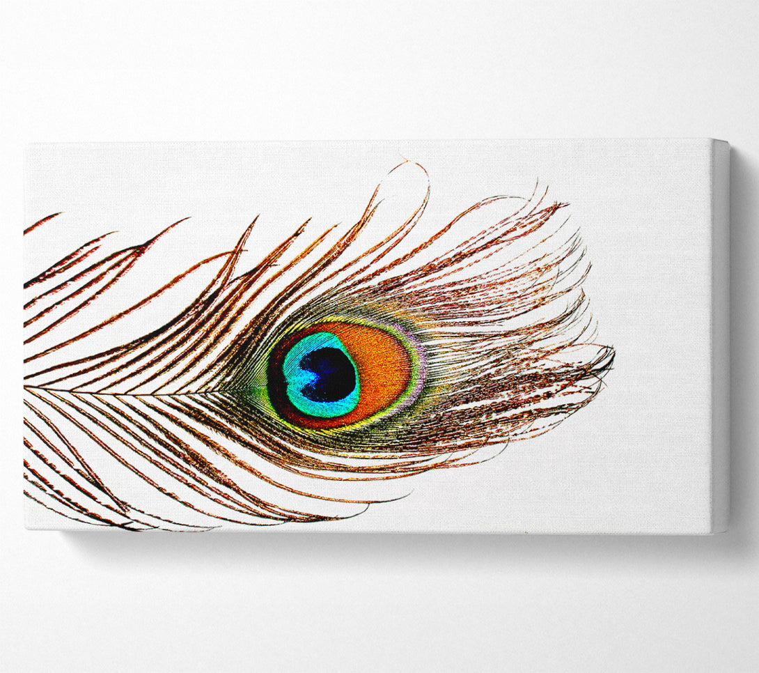  A Canvas Print of Peacock Feather Canvas Art