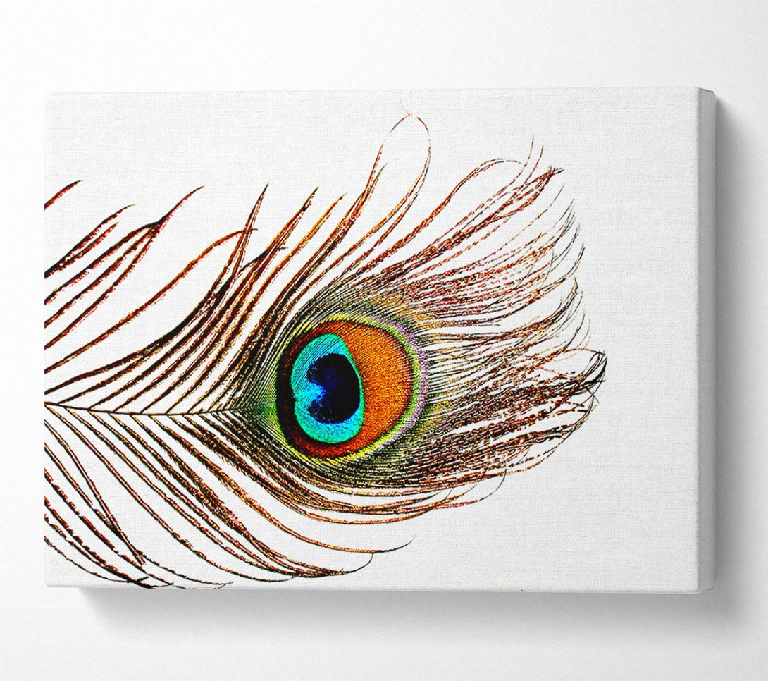  A Canvas Print of Peacock Feather Canvas Art