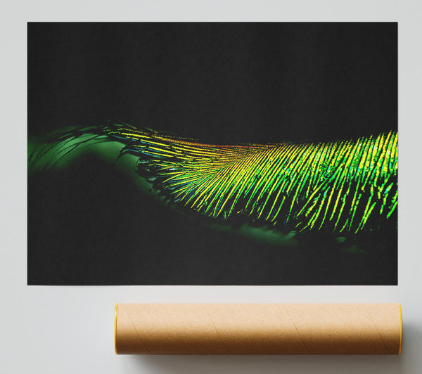 Vibrant Green Feather Poster
