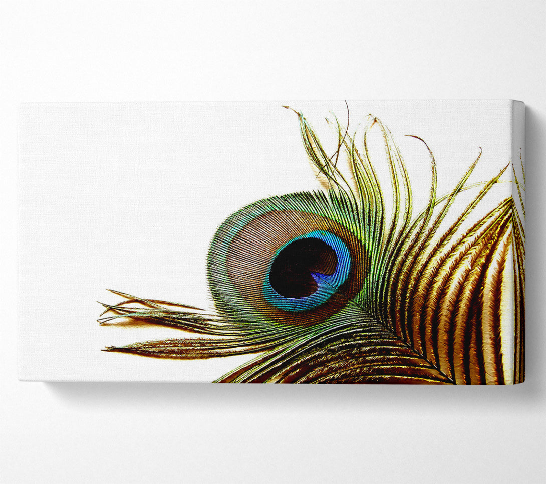 A Canvas Print of Peacock Feather Close-Up Canvas Wall Art