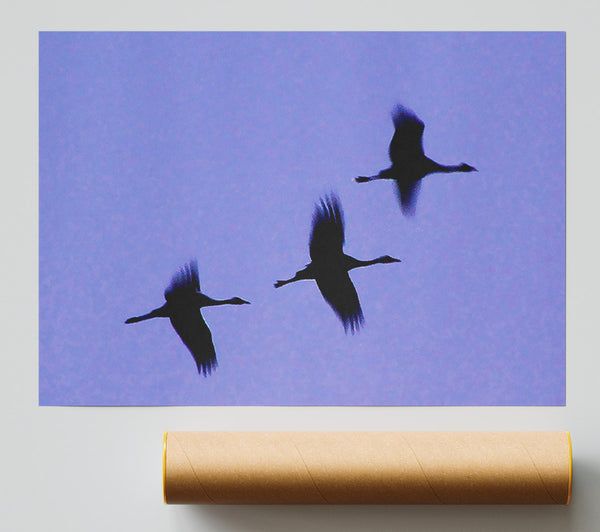 Geese Trio In Flight Purple Giclee Print