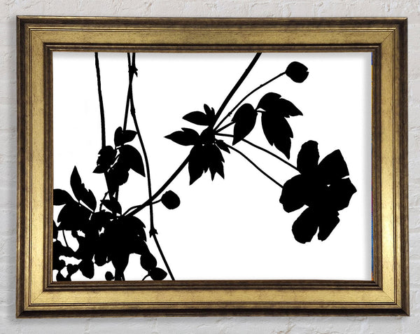 Black Flowers Framed Print