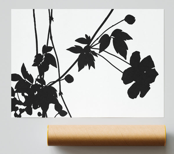 Black Flowers Poster