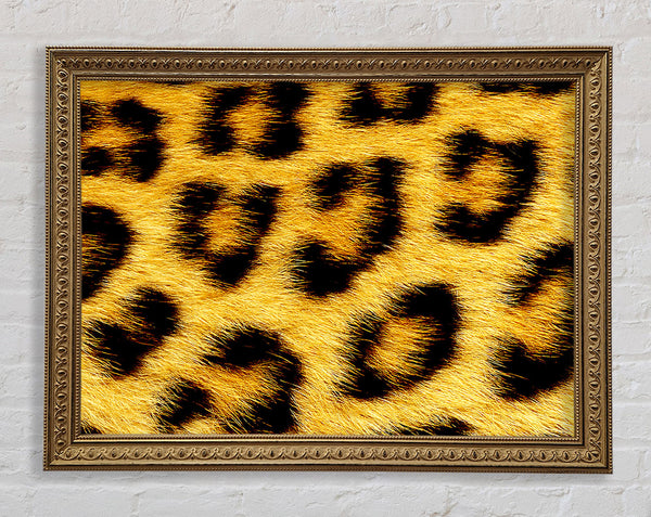 Leopard Print Framed Print