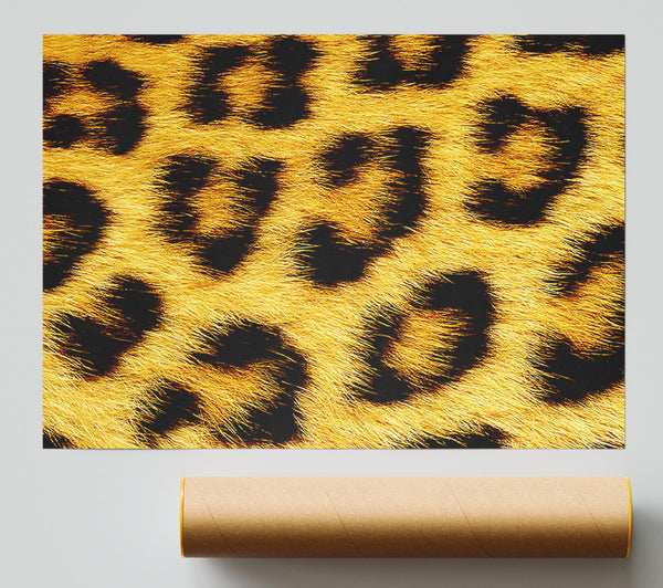 Leopard Print Poster