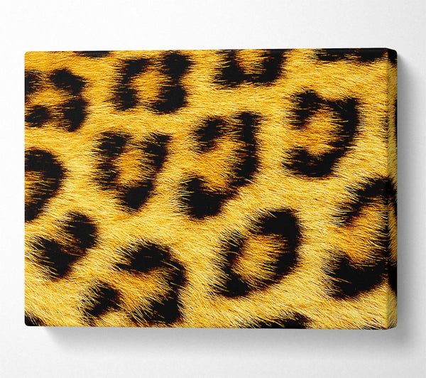  A Canvas Print of Leopard Print Canvas Print