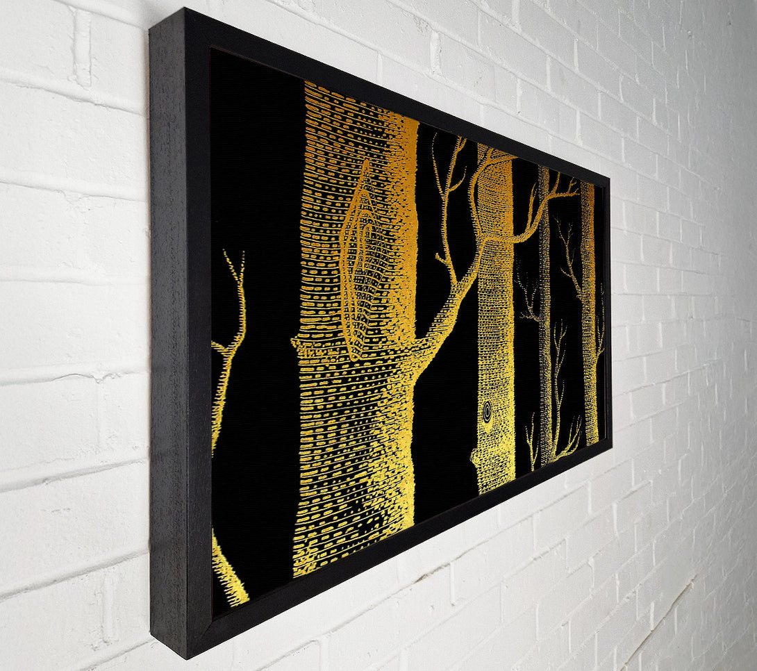  A Canvas Print of The Night Time Woodland Canvas Print