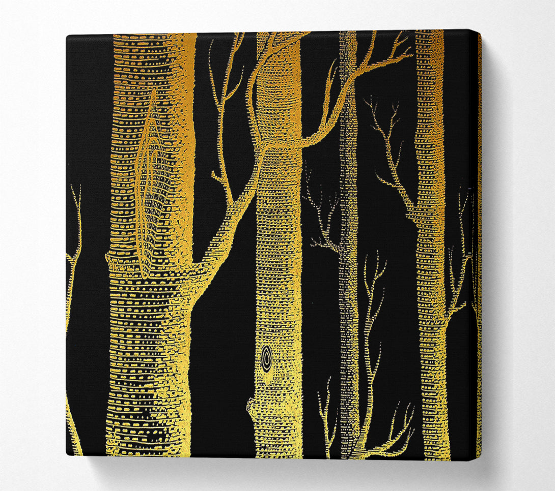  A Canvas Print of The Night Time Woodland Canvas Print