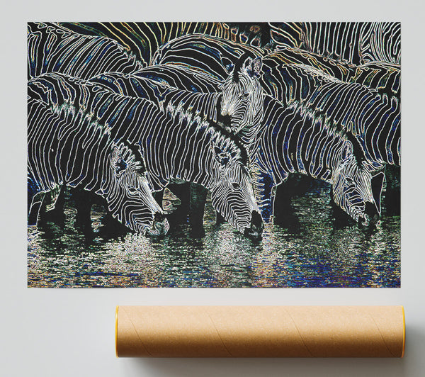 Zebra At The Watering Hole Poster