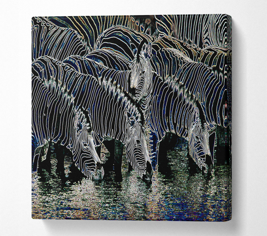  A Canvas Print of Zebra At The Watering Hole Canvas Print