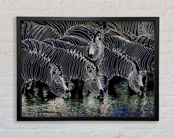 Zebra At The Watering Hole Framed Print