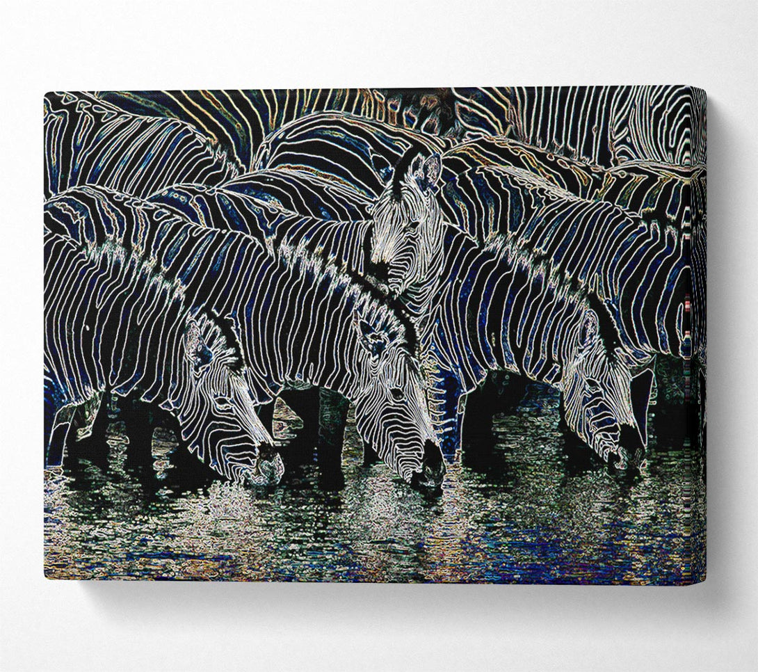  A Canvas Print of Zebra At The Watering Hole Canvas Print