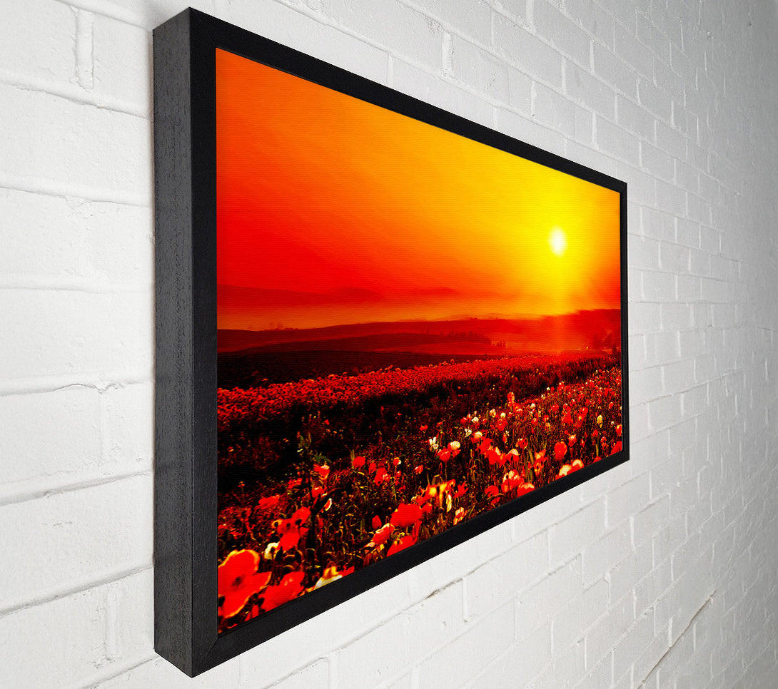  A Canvas Print of Poppy Field Mist Canvas Art