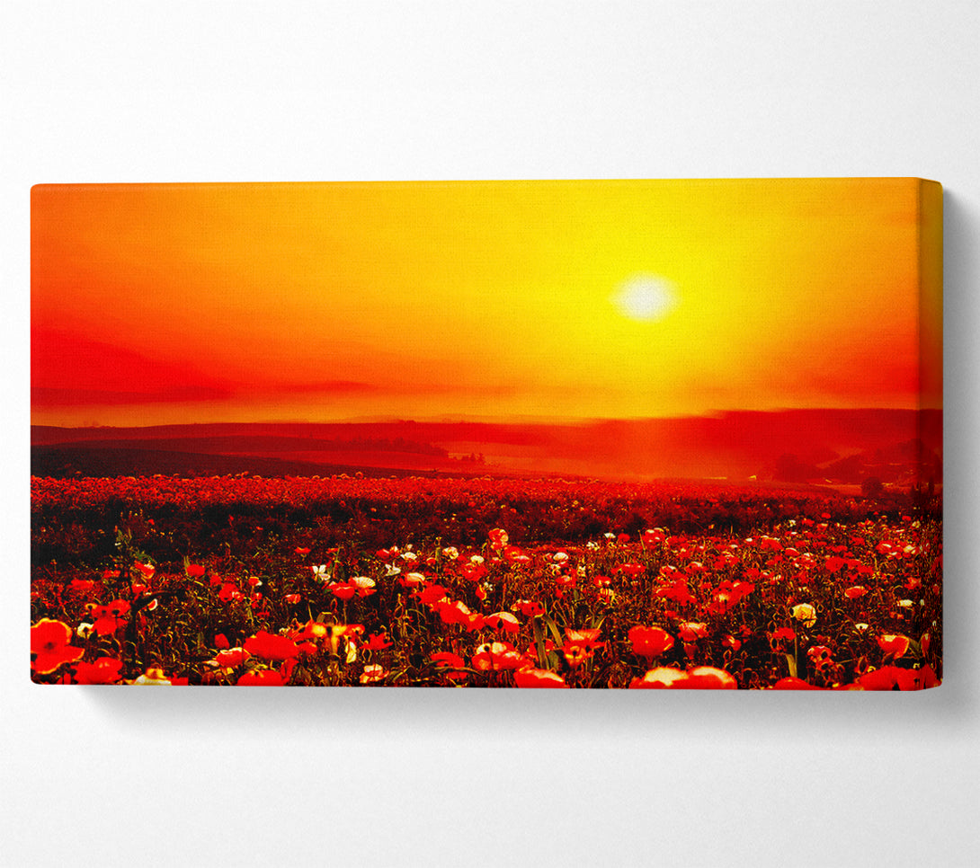  A Canvas Print of Poppy Field Mist Canvas Art