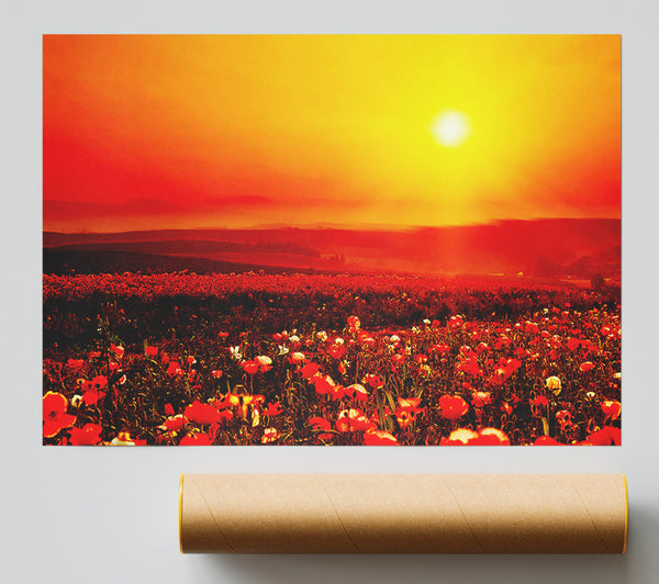 Poppy Field Mist Poster