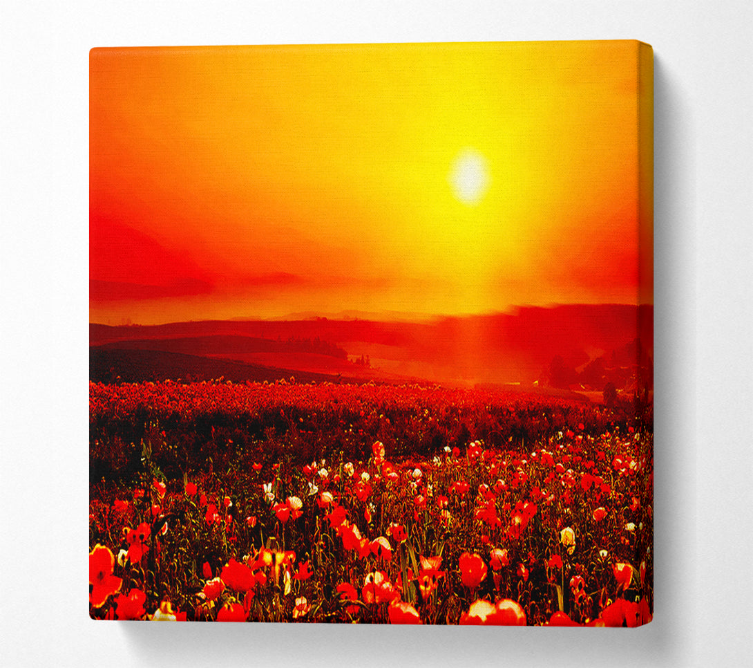  A Canvas Print of Poppy Field Mist Canvas Art
