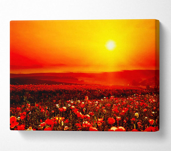  A Canvas Print of Poppy Field Mist Canvas Art