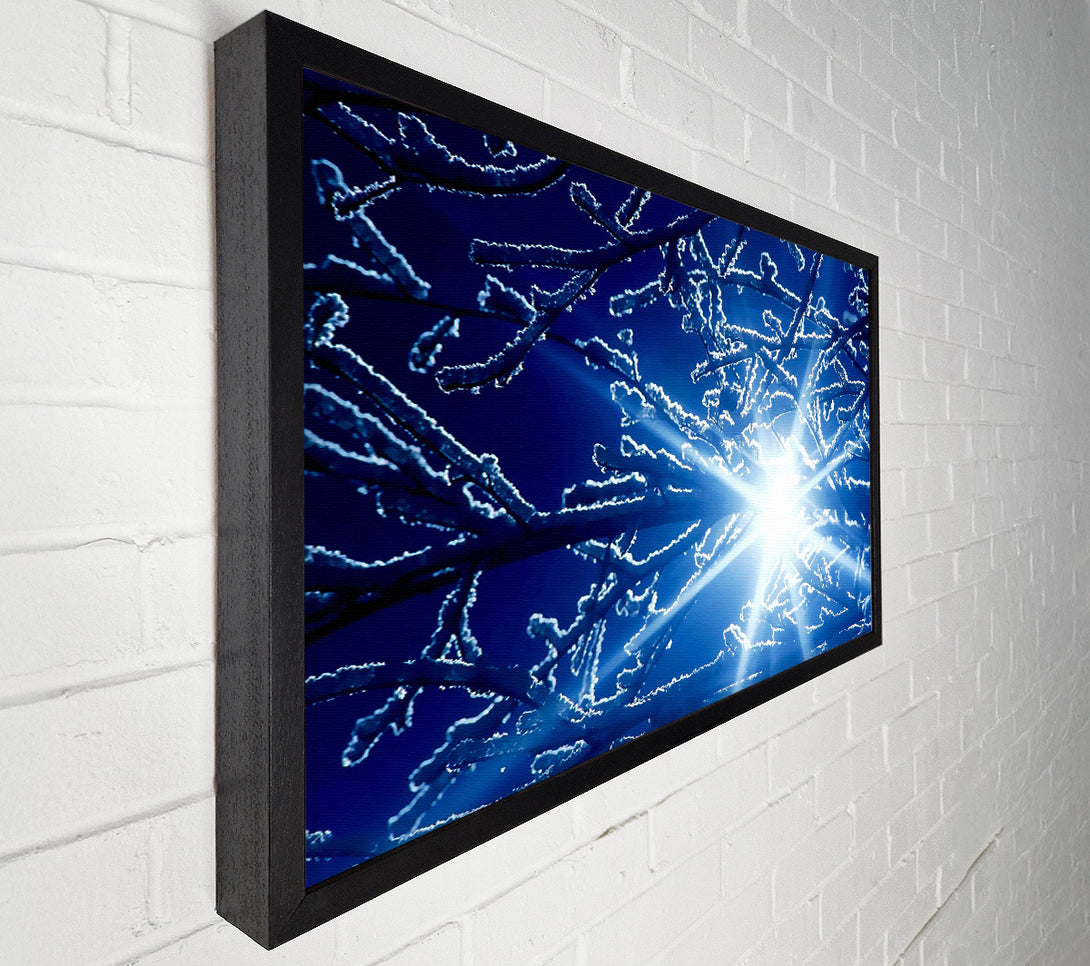  A Canvas Print of Winter Sun Rays Canvas Print