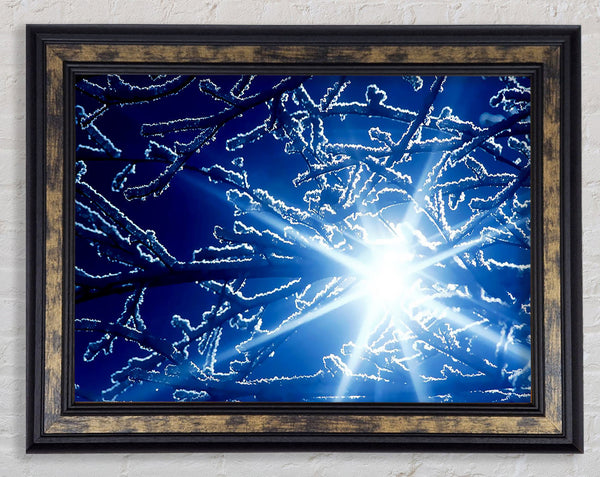Winter Sun Rays Framed Print