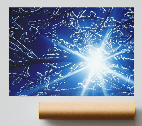 Winter Sun Rays Print