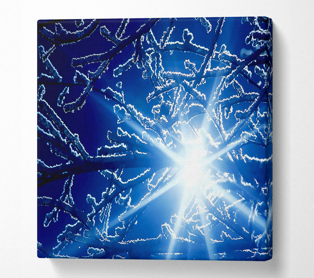  A Canvas Print of Winter Sun Rays Canvas Print