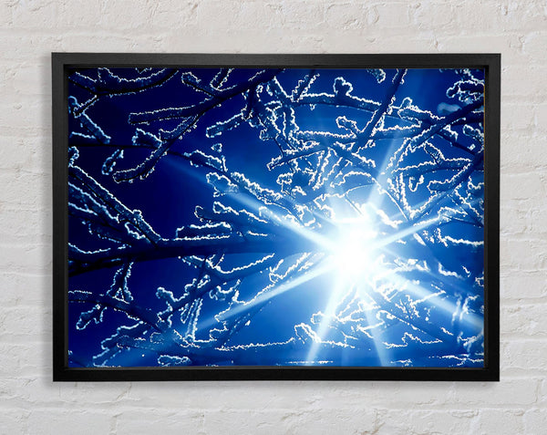 Winter Sun Rays Framed Print