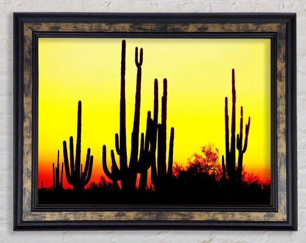 Desert Cactus Sunrise Framed Print