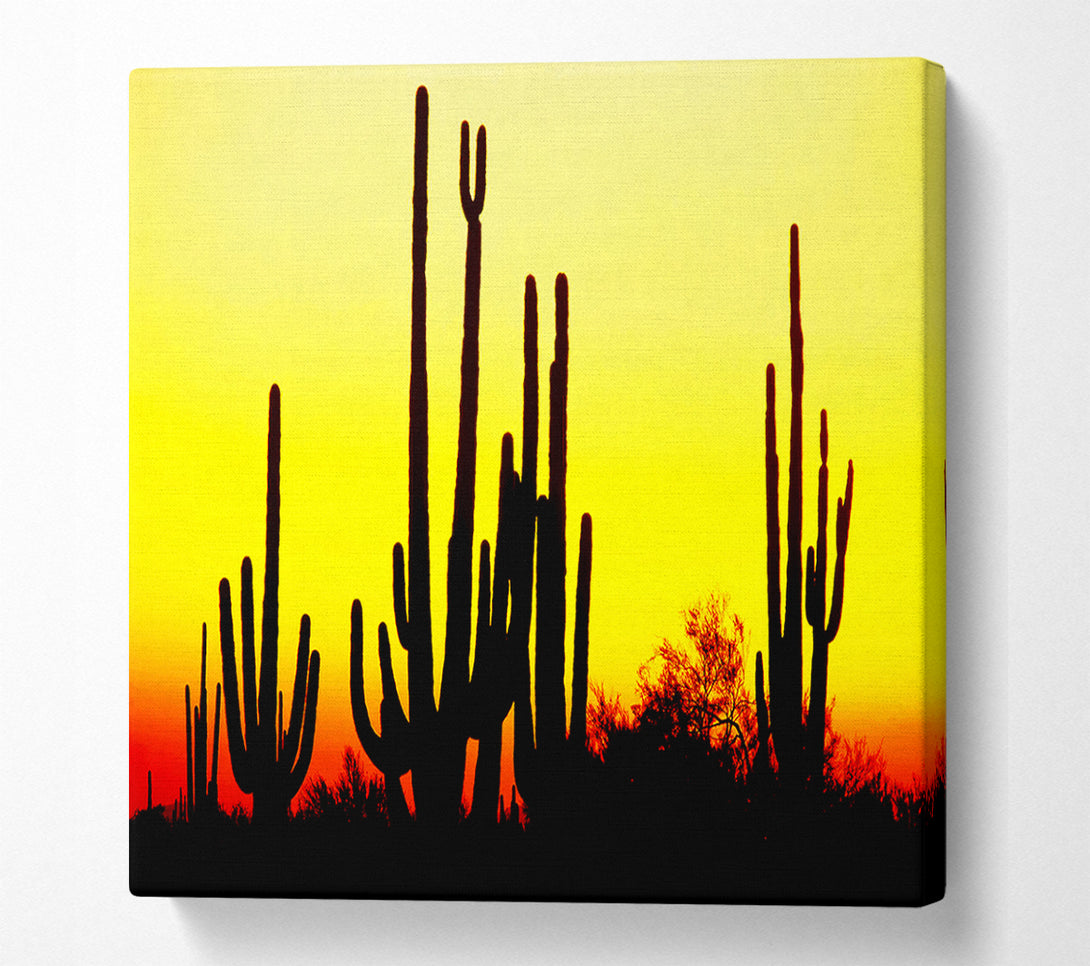  A Canvas Print of Desert Cactus Sunrise Canvas Wall Art