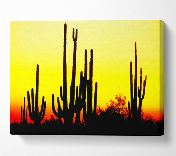  A Canvas Print of Desert Cactus Sunrise Canvas Wall Art