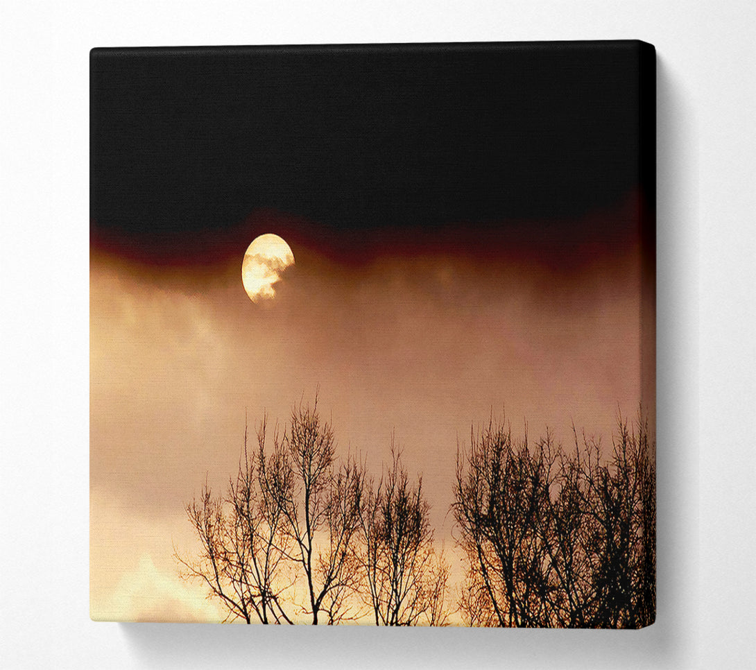  A Canvas Print of Storms By Moonlight Canvas Wall Art