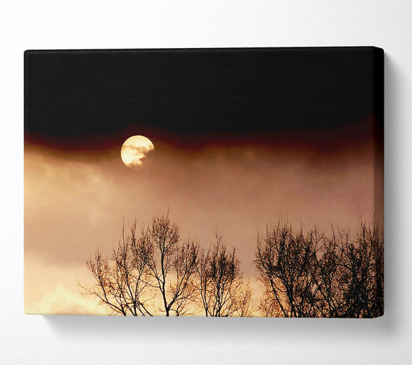  A Canvas Print of Storms By Moonlight Canvas Wall Art