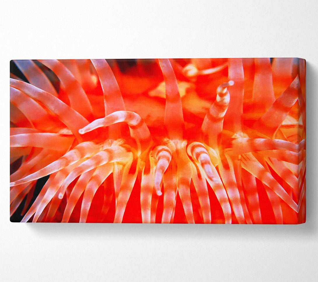  A Canvas Print of The Sea Of Life Canvas Art