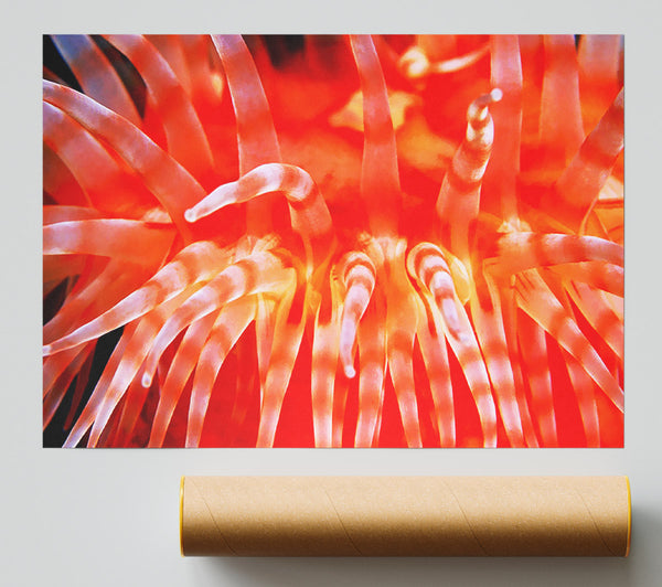 The Sea Of Life Giclee Print
