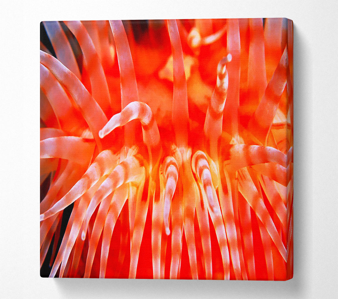  A Canvas Print of The Sea Of Life Canvas Art