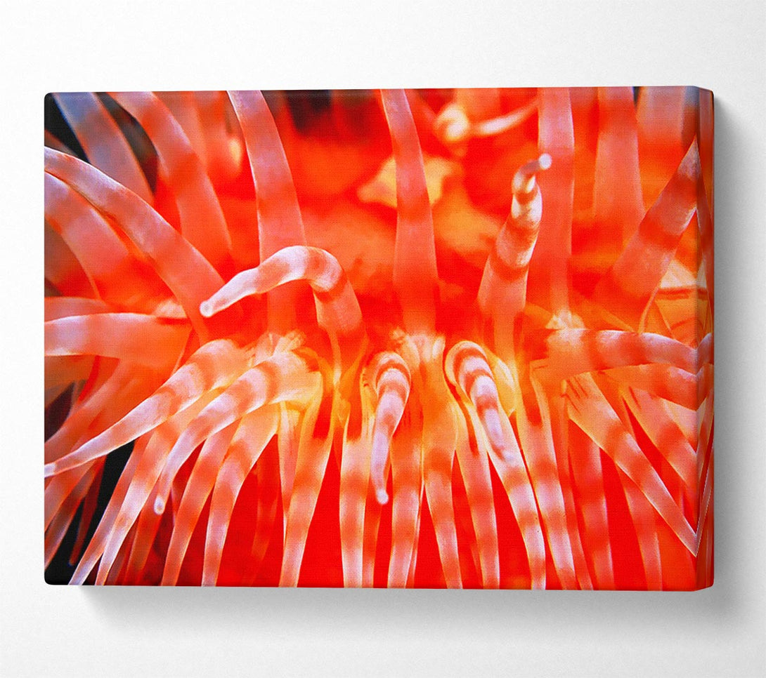  A Canvas Print of The Sea Of Life Canvas Art