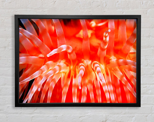 The Sea Of Life Framed Print