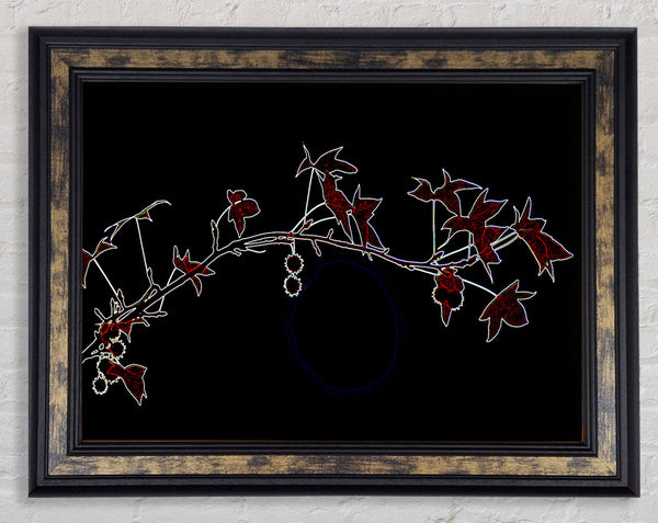 Berry Bush Framed Print