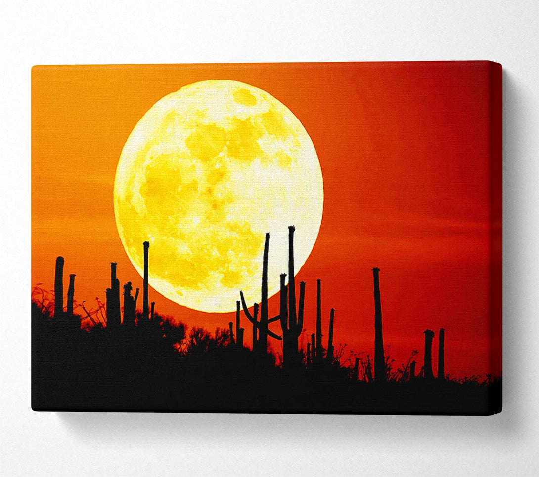  A Canvas Print of Red Moon Cactus Canvas Art