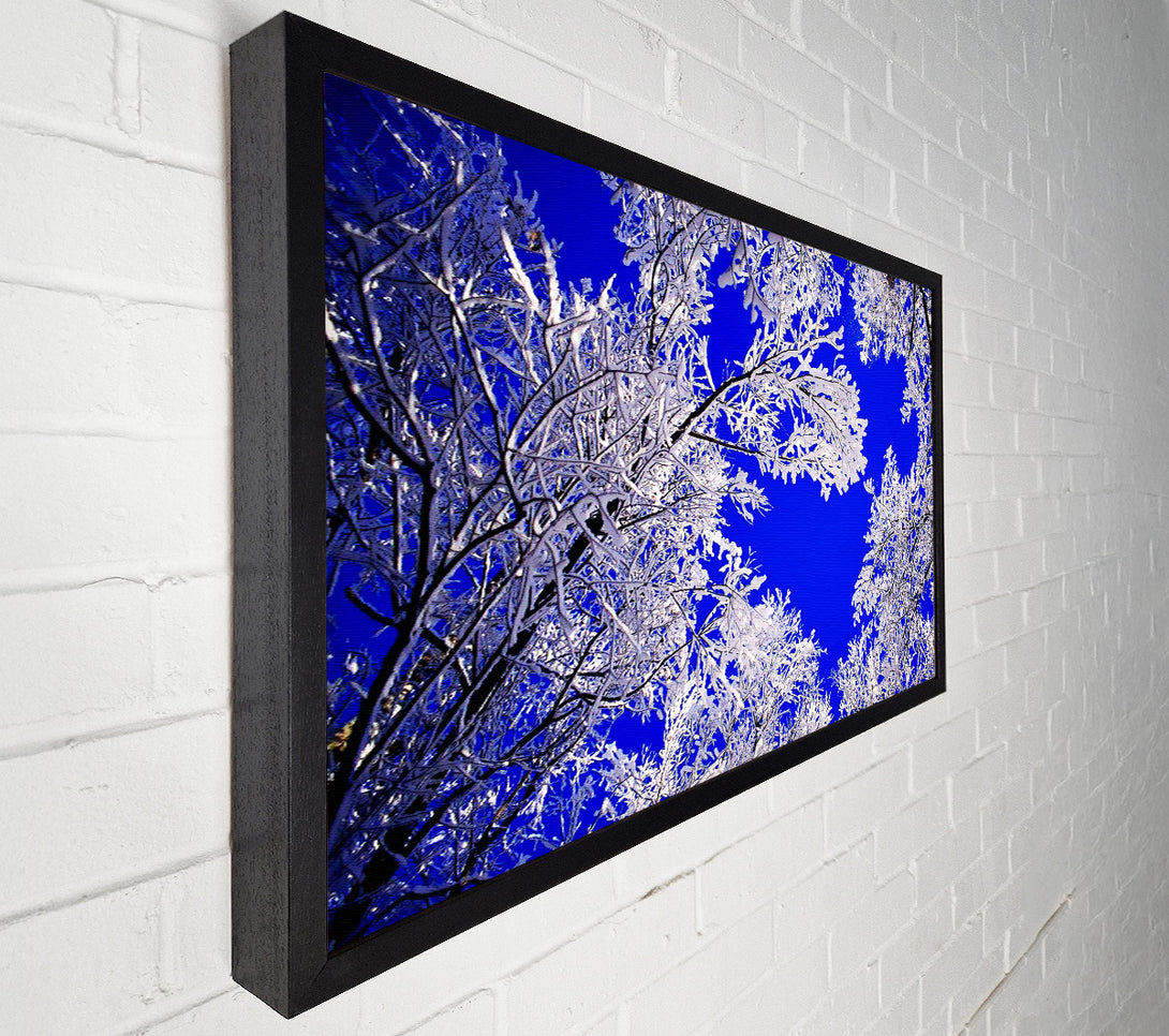  A Canvas Print of Winter Ice Tree In Sunlight Canvas Print