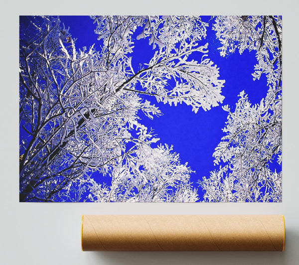 Winter Ice Tree In Sunlight Giclee Print