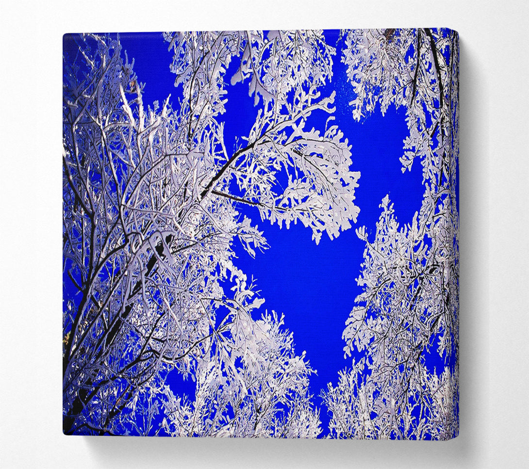  A Canvas Print of Winter Ice Tree In Sunlight Canvas Print