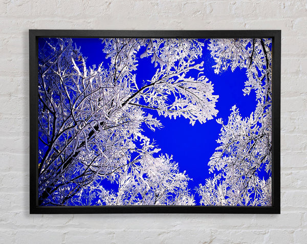 Winter Ice Tree In Sunlight Framed Print