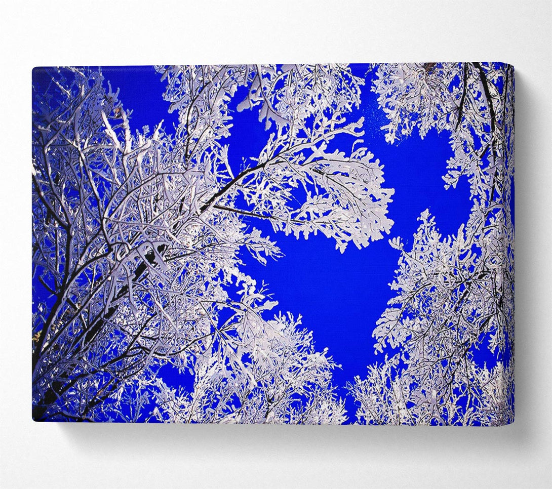  A Canvas Print of Winter Ice Tree In Sunlight Canvas Print