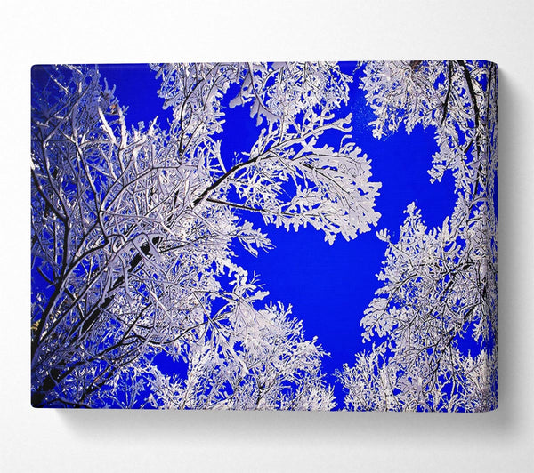  A Canvas Print of Winter Ice Tree In Sunlight Canvas Print